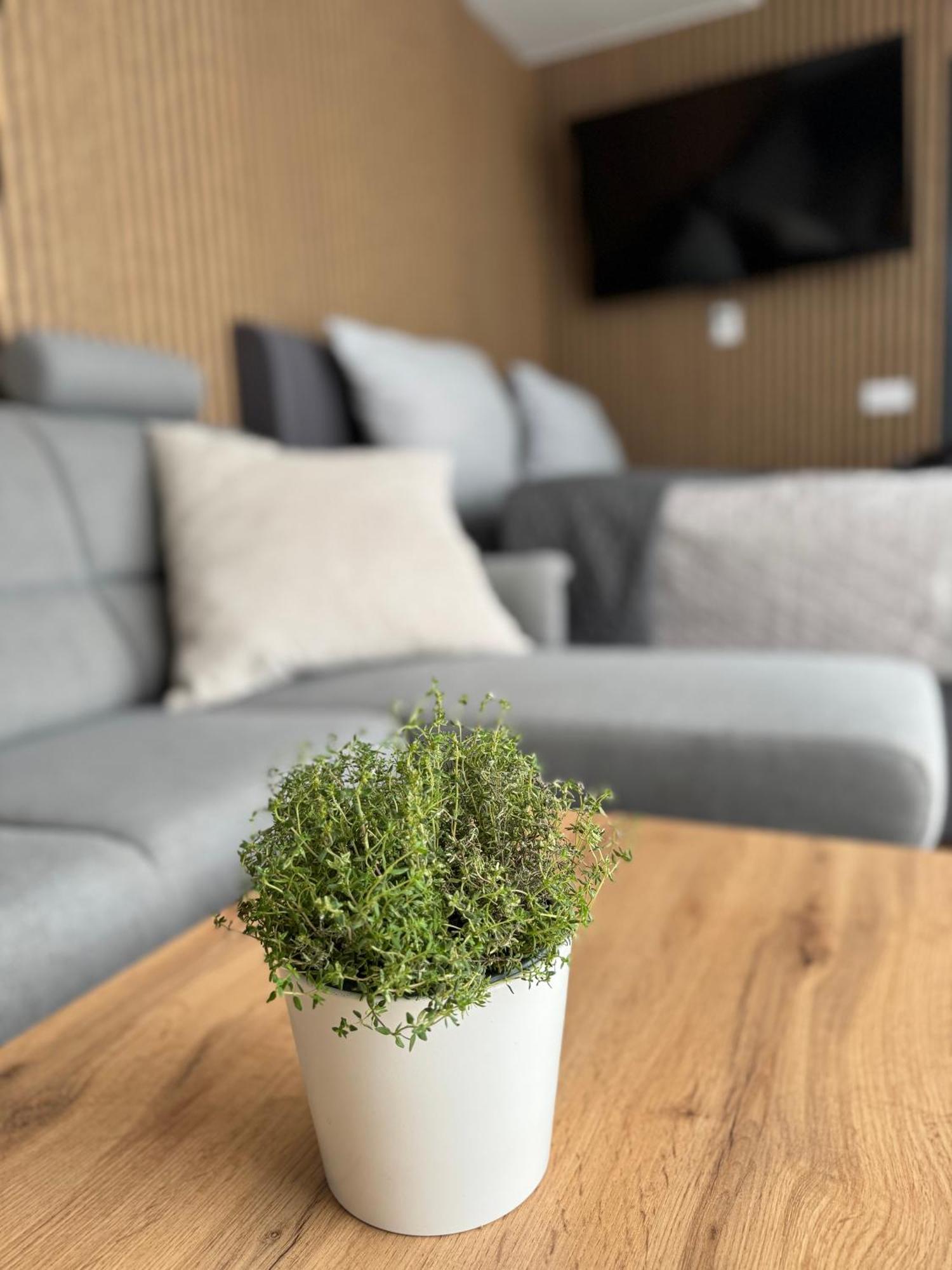 Airport Luxury & Appartement